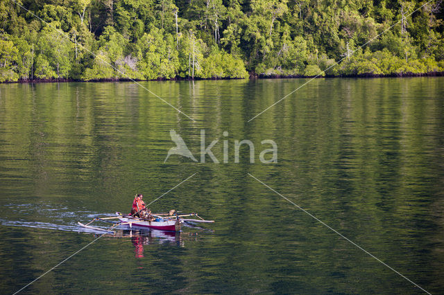 Raja Ampat Eilanden