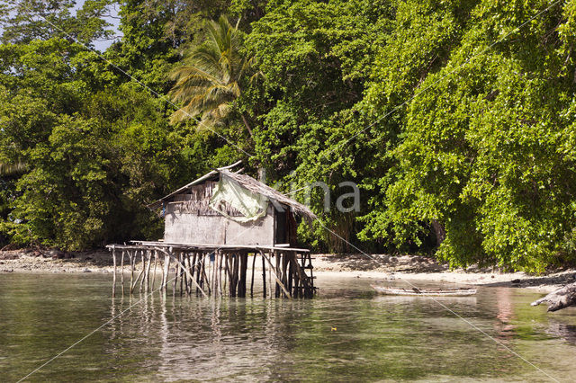 Raja Ampat Eilanden