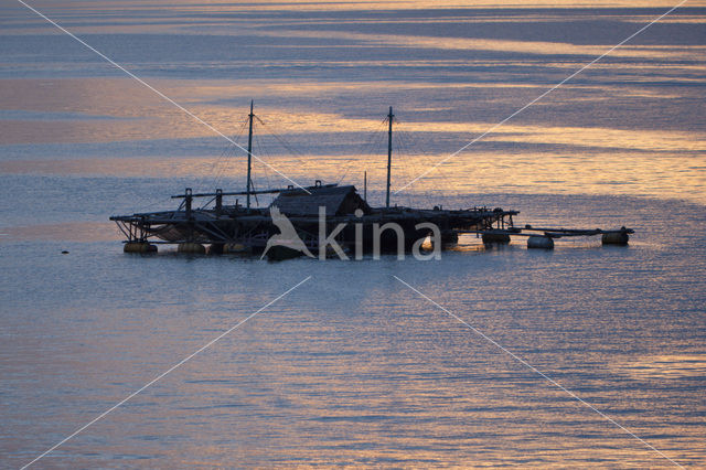 Lembeh Strait