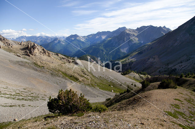 Col D’Izoard