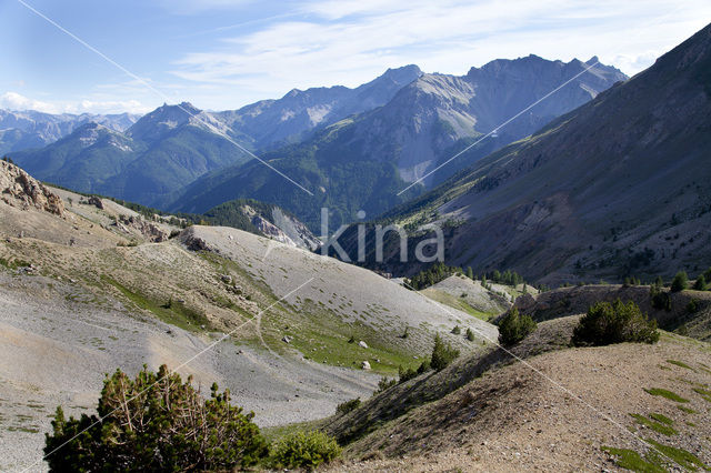 Col D’Izoard