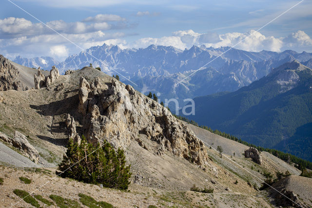 Col D’Izoard