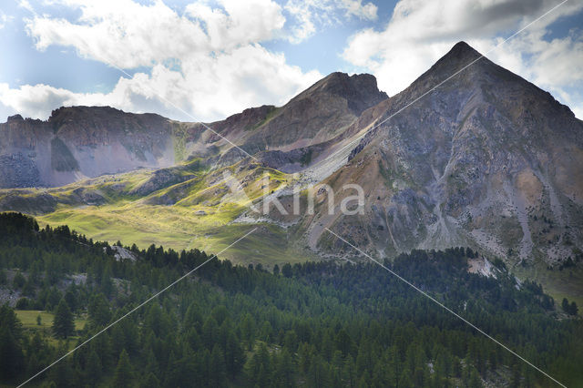 Col D’Izoard