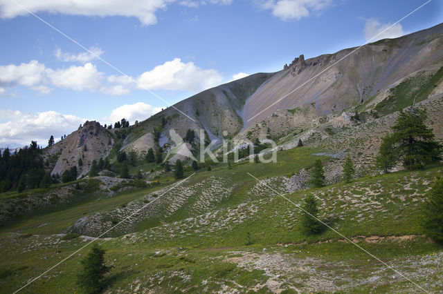 Col D’Izoard