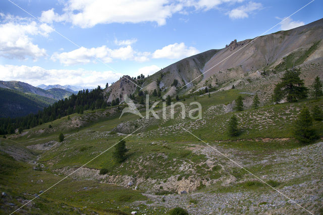 Col D’Izoard