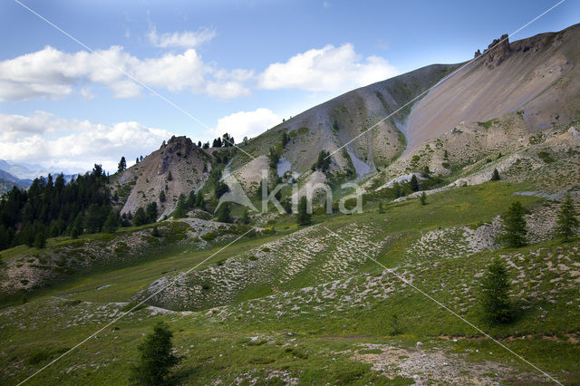 Col D’Izoard