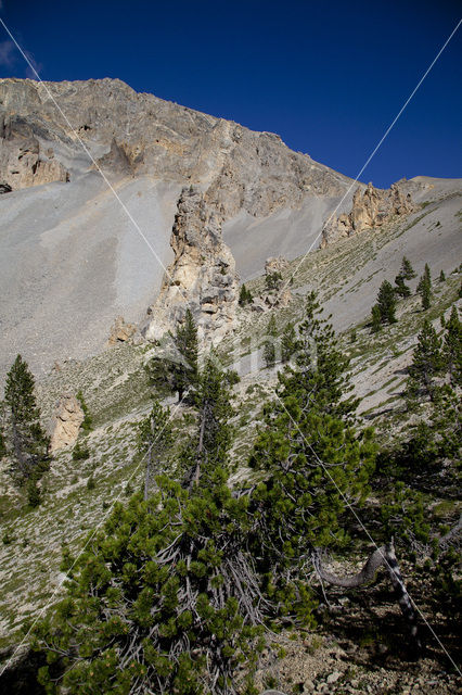 Col D’Izoard