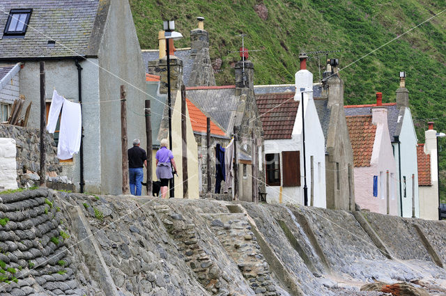 Crovie