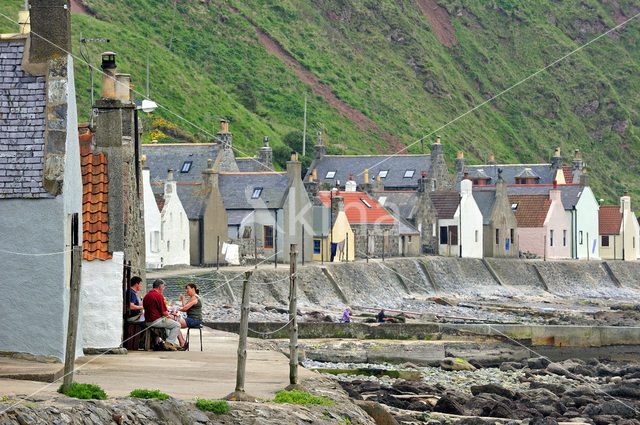 Crovie