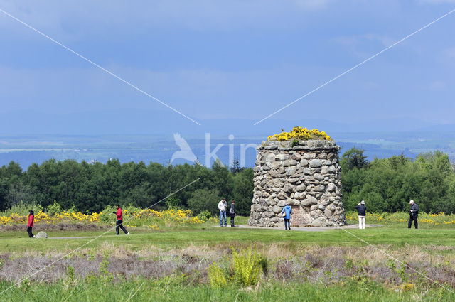 Culloden battlefield