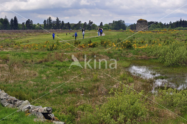 Culloden battlefield