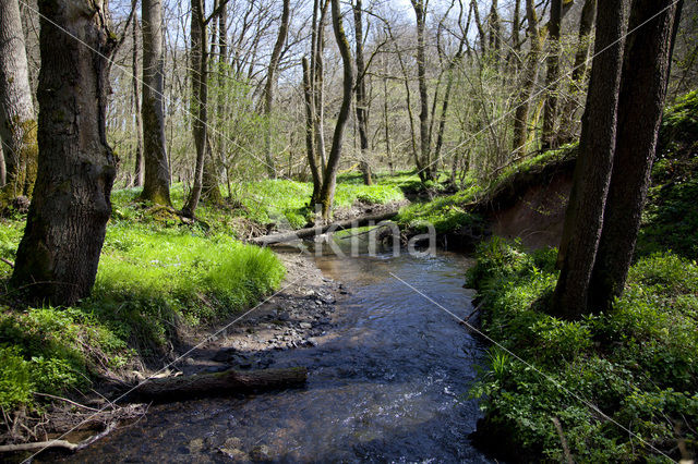 Hohn Valley