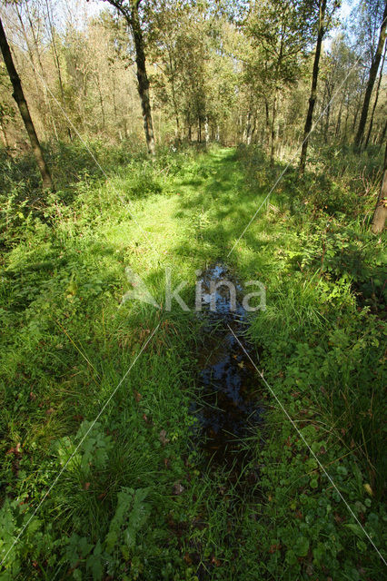 De Mortelen en Heerenbeek