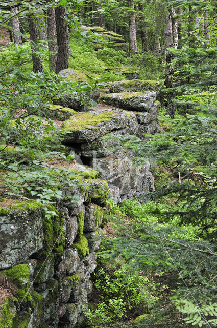 Mont Sainte-Odile