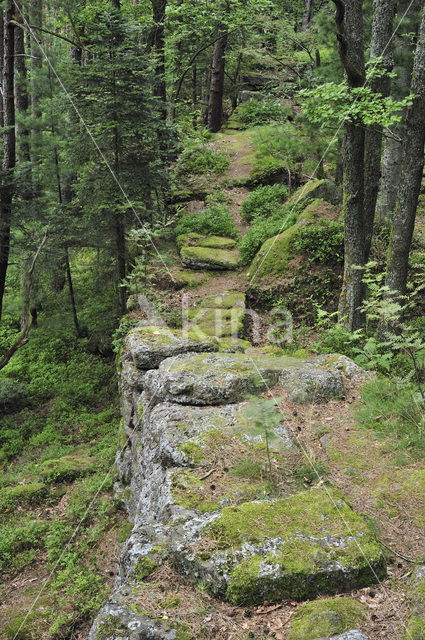 Mont Sainte-Odile