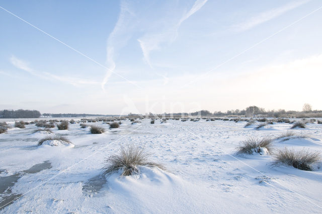 Nationaal Park Weerribben-Wieden