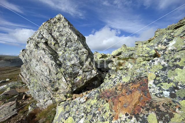 Natuurreservaat Stadjan Nipfjället