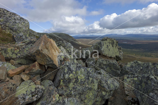 Natuurreservaat Stadjan Nipfjället