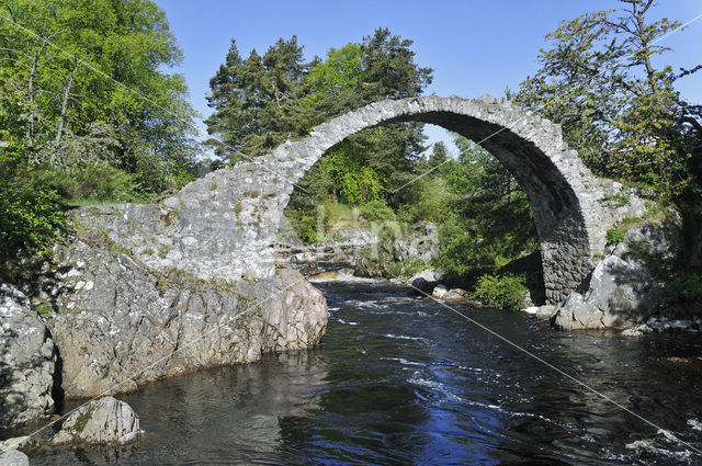 old Packhorse bridge