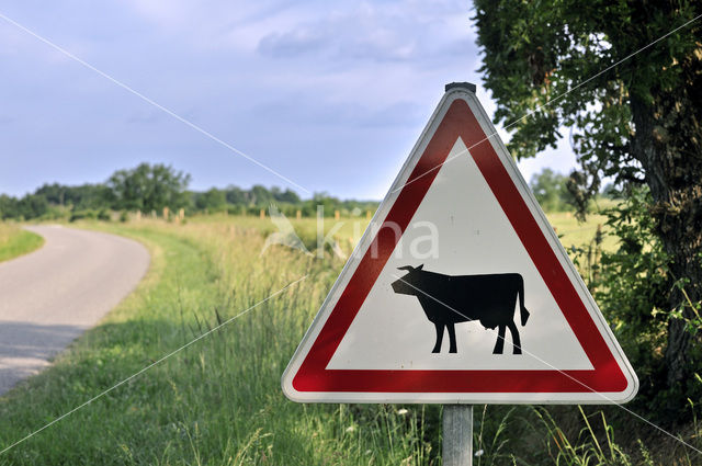 Parc naturel regional de La Brenne