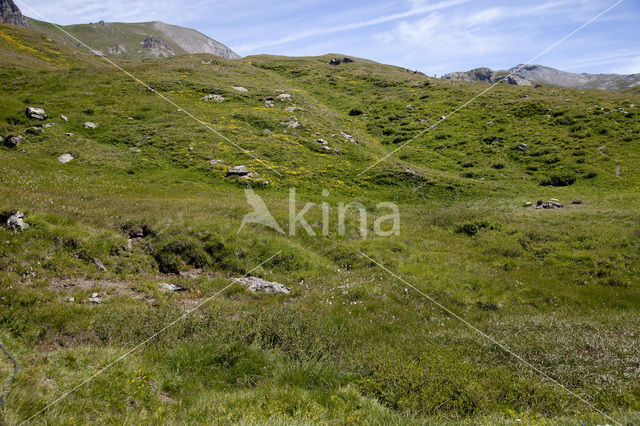 Parc Naturel Régional du Queyras