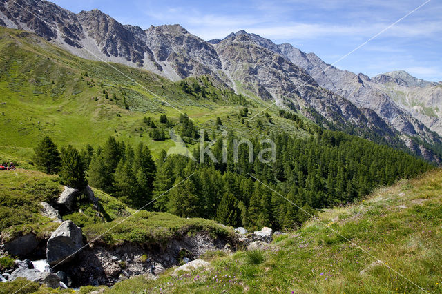 Parc Naturel Régional du Queyras