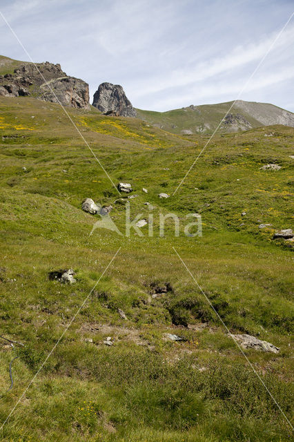 Parc Naturel Régional du Queyras