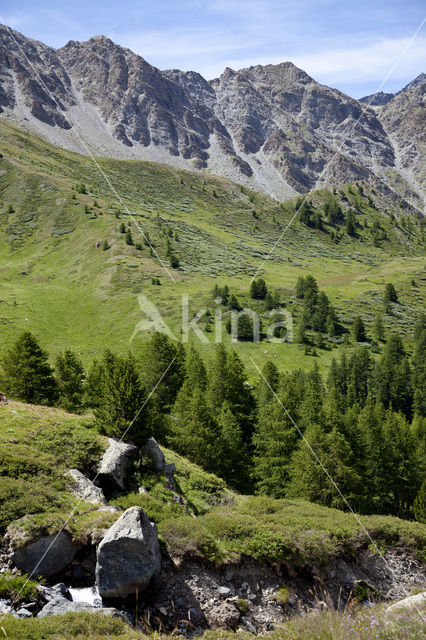 Parc Naturel Régional du Queyras