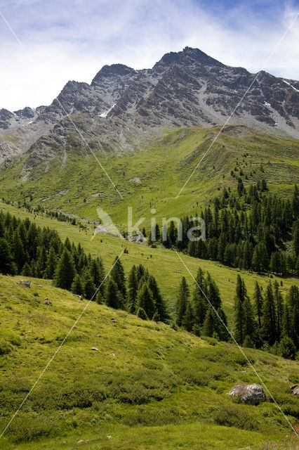 Parc Naturel Régional du Queyras