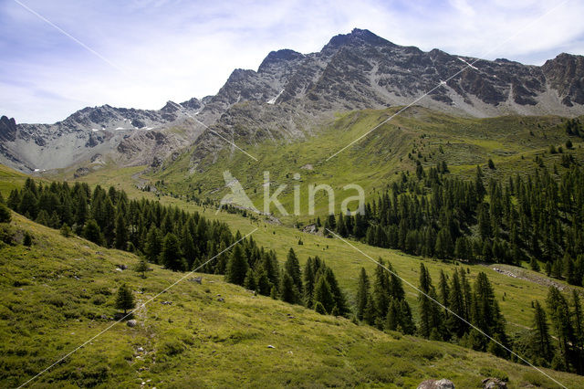 Parc Naturel Régional du Queyras