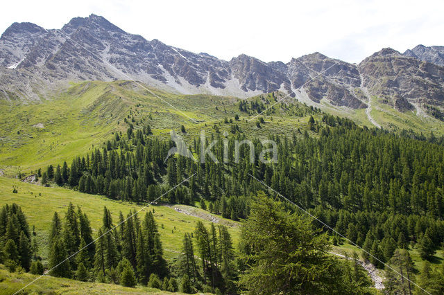 Parc Naturel Régional du Queyras