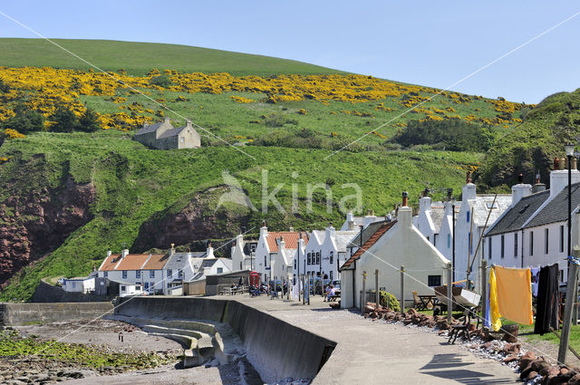 Pennan