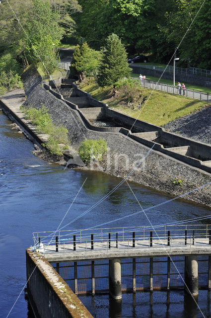 Tummel rivier