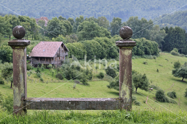 Vosges