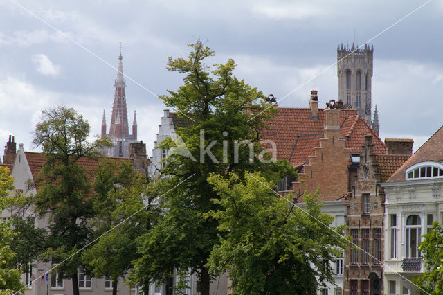 Brugge