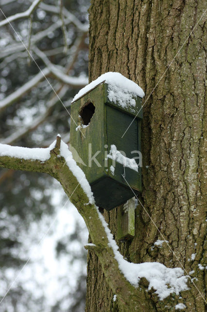 De Mortelen en Heerenbeek