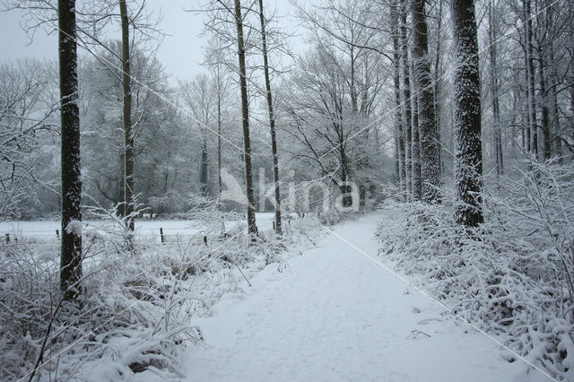 De Mortelen en Heerenbeek