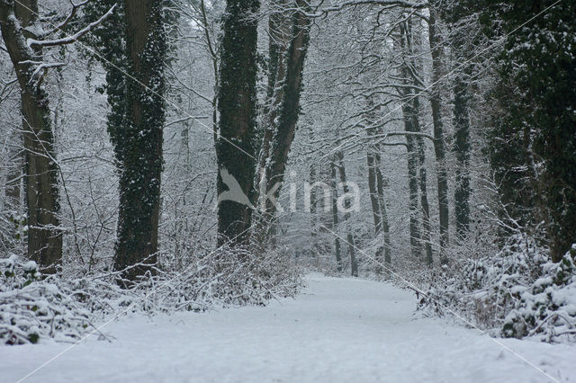 De Mortelen en Heerenbeek