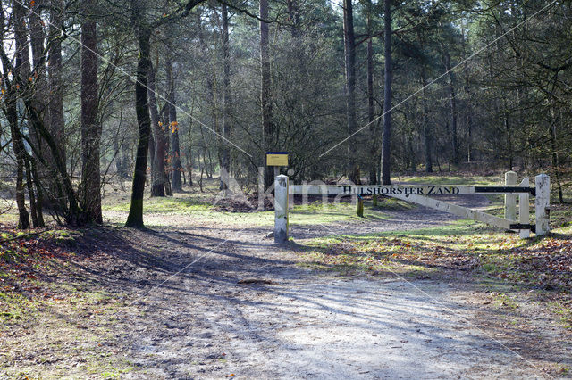 Landgoed Leuvenhorst