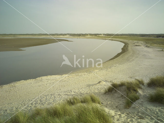 Nationaal Park Duinen van Texel