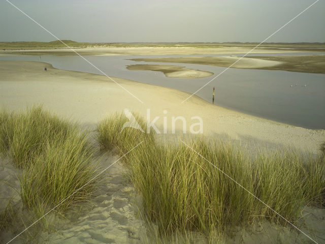 Nationaal Park Duinen van Texel