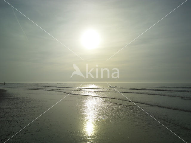 Nationaal Park Duinen van Texel