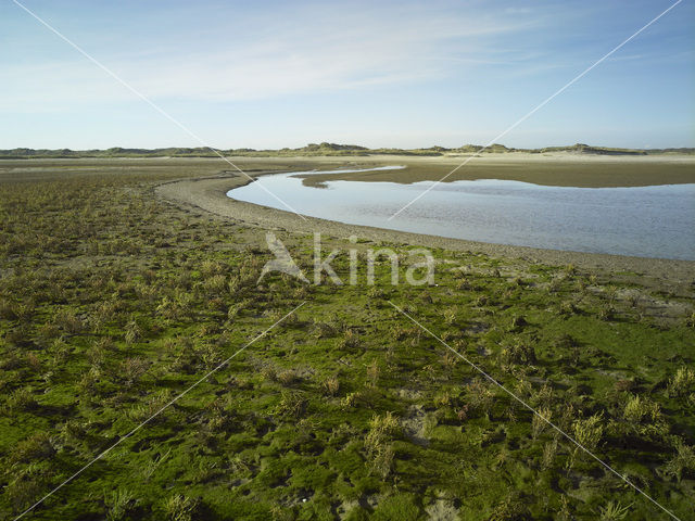 Nationaal Park Duinen van Texel