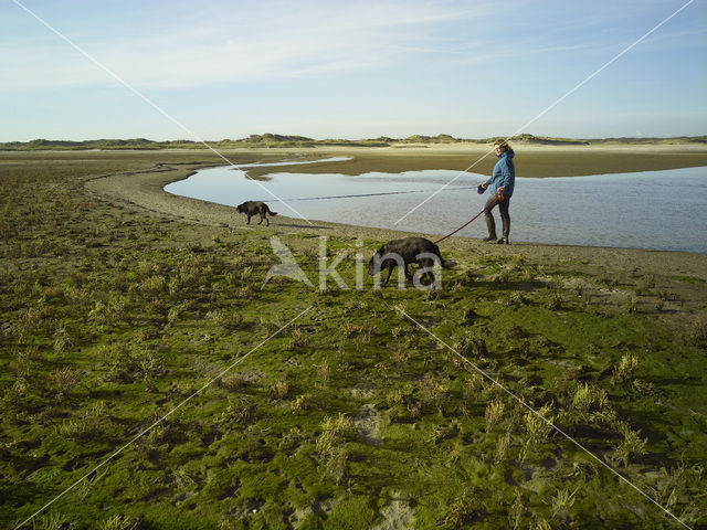 National Park Duinen van Texel