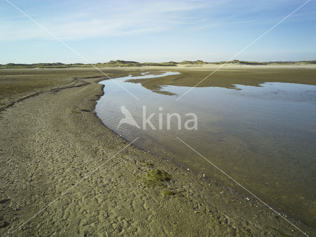 National Park Duinen van Texel