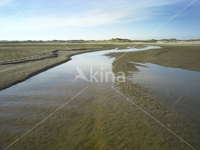 Nationaal Park Duinen van Texel