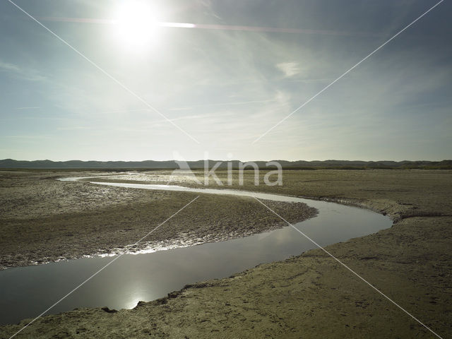 Nationaal Park Duinen van Texel