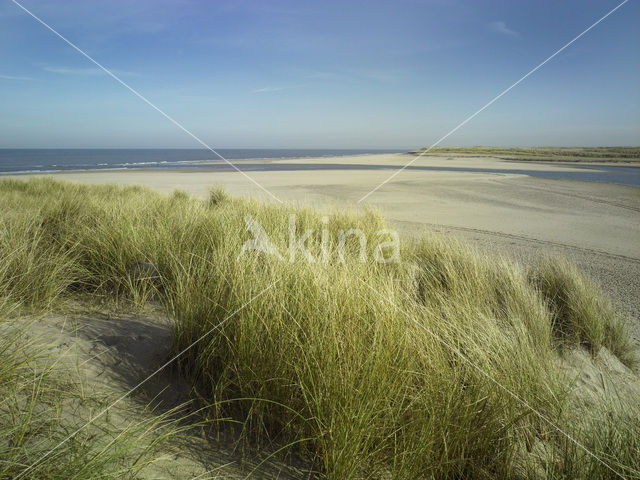 Nationaal Park Duinen van Texel