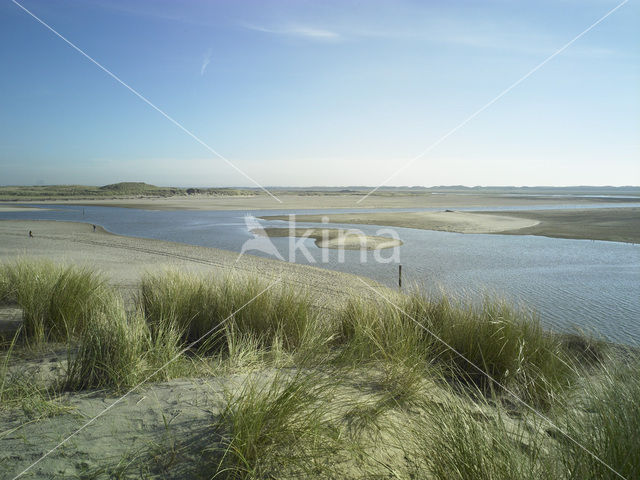 Nationaal Park Duinen van Texel