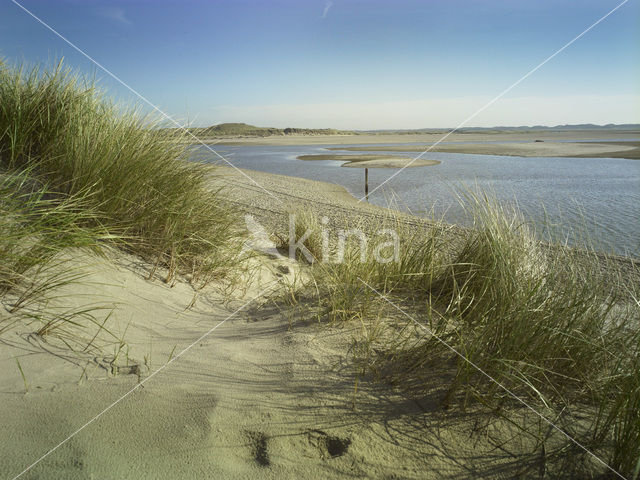 Nationaal Park Duinen van Texel